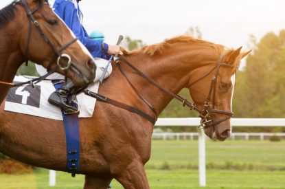 Two Horses Against Rail Before Race