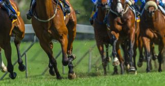 Front View of Turf Horse Race