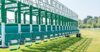 Horse Race Starting Stall Casting Shadow
