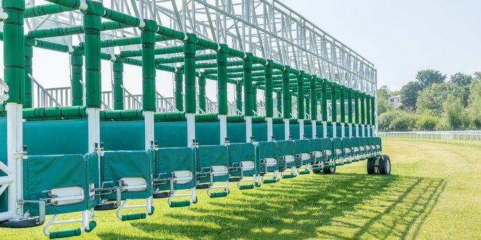 Horse Race Starting Stall Casting Shadow