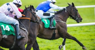 Jockey in Blue Silks Leading Race