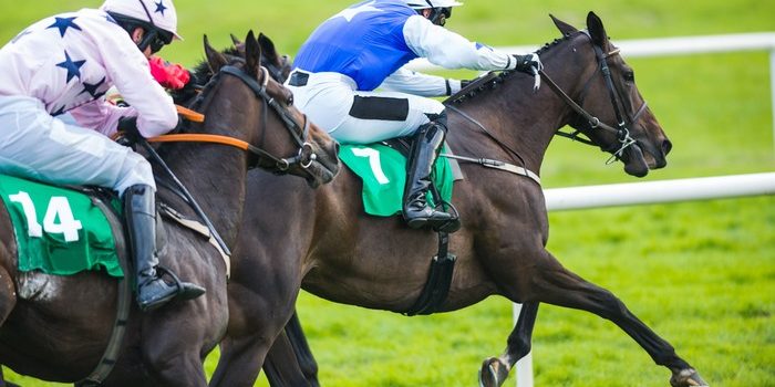 Jockey in Blue Silks Leading Race