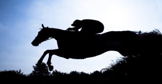 Silhouette of Horse Jumping Fence