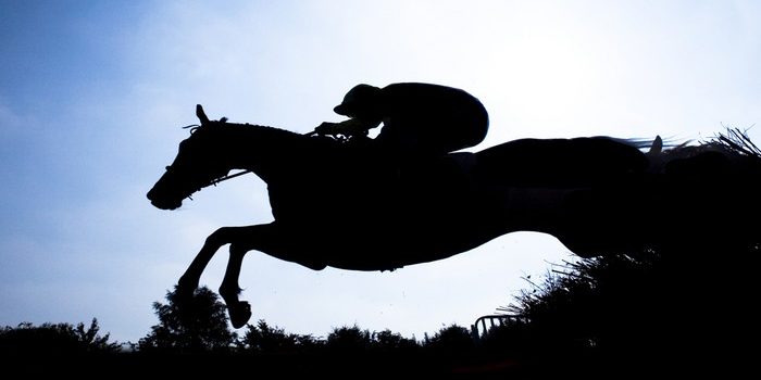 Silhouette of Horse Jumping Fence