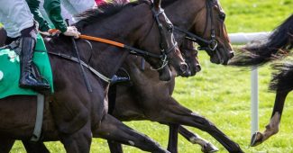 Three Bay Horses During Race