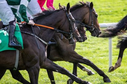 Three Bay Horses During Race
