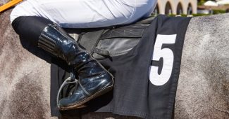 Grey Horse with Number 5 Saddle Cloth