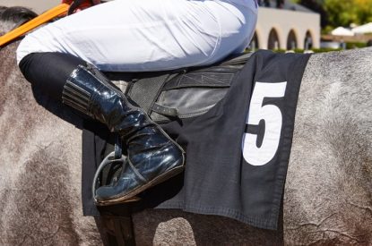 Grey Horse with Number 5 Saddle Cloth