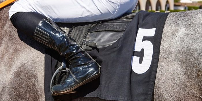 Grey Horse with Number 5 Saddle Cloth