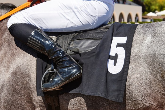Grey Horse with Number 5 Saddle Cloth