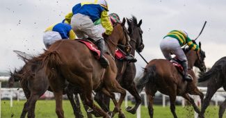 Group of Horses in National Hunt Race