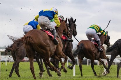 Group of Horses in National Hunt Race