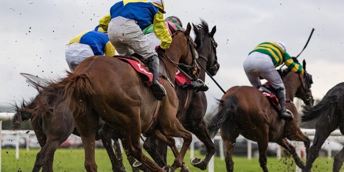 Group of Horses in National Hunt Race