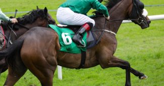 Horse Number 6 and Jockey with Green Silks
