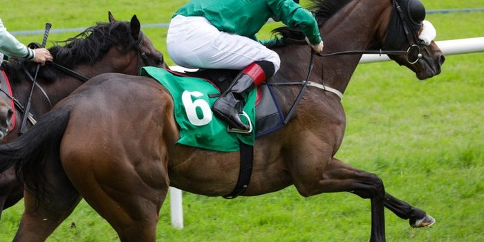 Horse Number 6 and Jockey with Green Silks