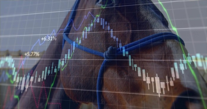 Horse with Chart Data Overlay