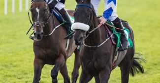 Two Horses Side by Side on Track