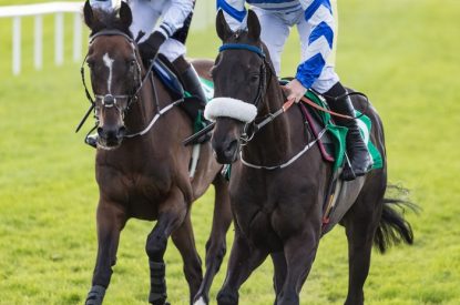 Two Horses Side by Side on Track