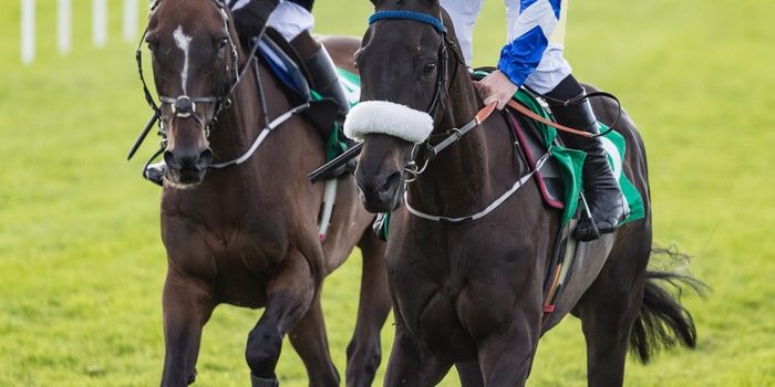 Two Horses Side by Side on Track