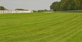 Epsom Racecourse Empty Track