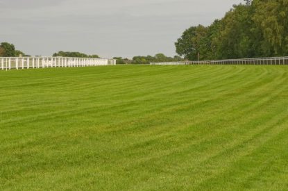 Epsom Racecourse Empty Track