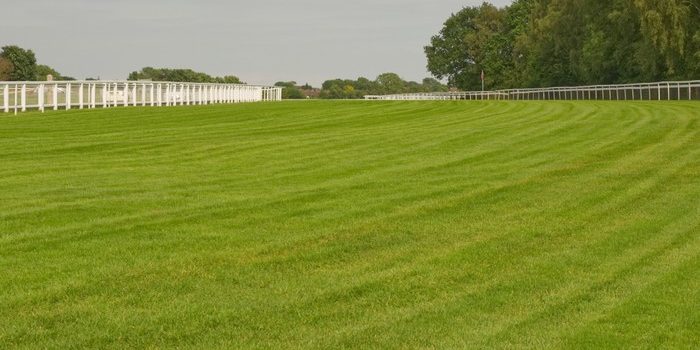 Epsom Racecourse Empty Track