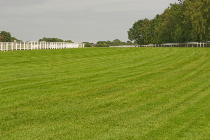 Epsom Racecourse Empty Track