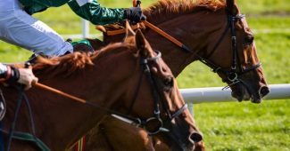 Two Chestnut Horses Racing Head to Head