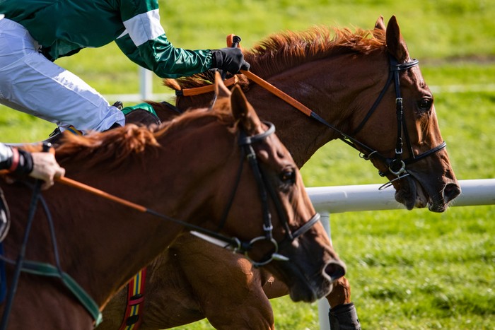 Two Chestnut Horses Racing Head to Head