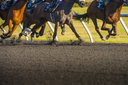Legs of Horses Running on All Weather Surface