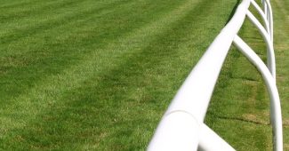 Rail on Straight Turf Course
