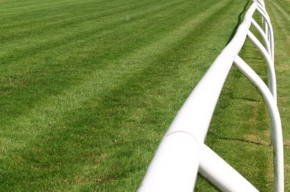 Rail on Straight Turf Course