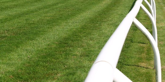 Rail on Straight Turf Course