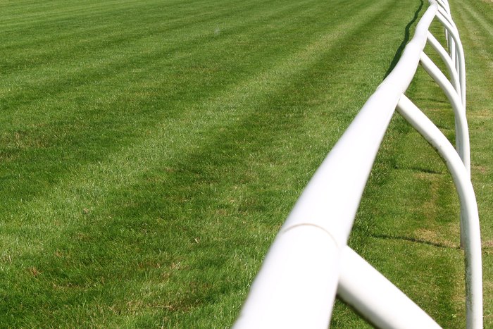Rail on Straight Turf Course