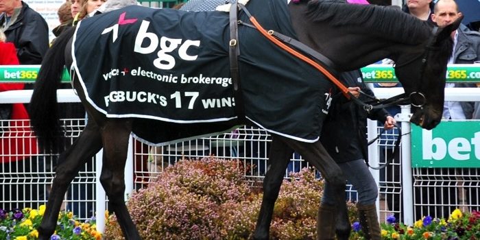 Big Buck's