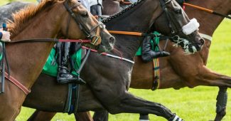 Close Group of Three Horses During Race