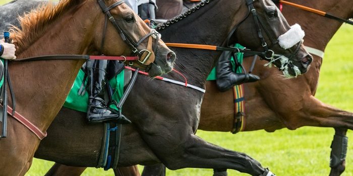 Close Group of Three Horses During Race