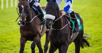 Two Bay Racehorses Galloping