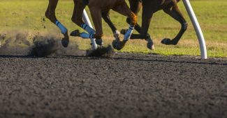 Two Horses Racing on All Weather Surface