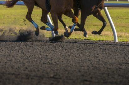 Two Horses Racing on All Weather Surface