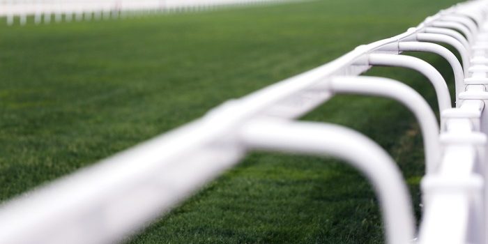 Blurred White Racecourse Railing