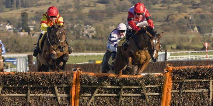 Cheltenham Hurdle Race