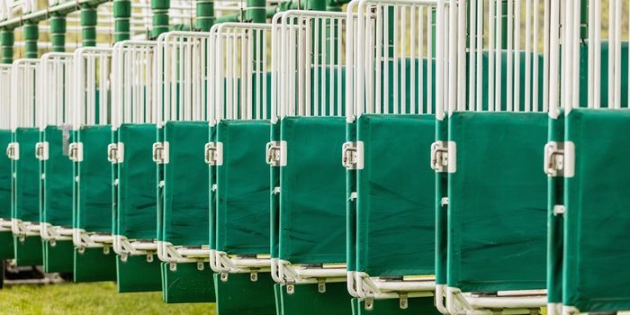 Green Horse Race Start Gate